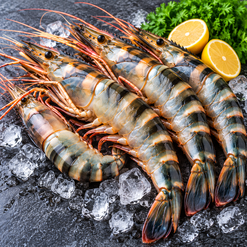 Tiger Prawns Big
