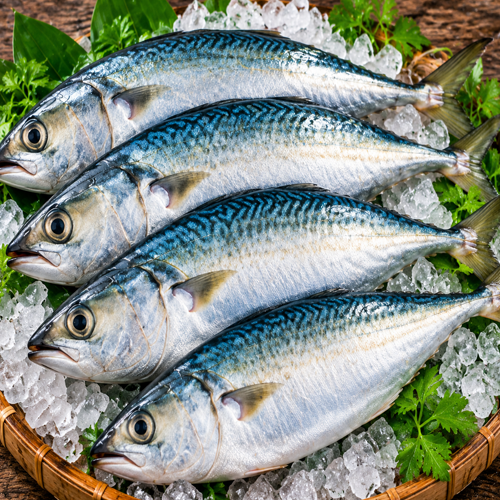 Indian Mackerel (Bhangada)